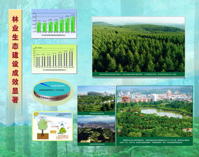 林业生态建设成效显著，推动可持续发展