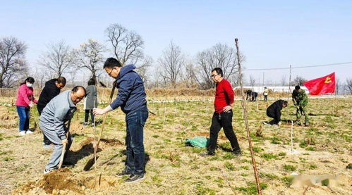 林业工作站 党史学习教育氛围浓厚 助推绿色发展新篇章