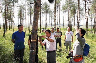 佳木斯商业 东北边陲城市的经济发展与机遇