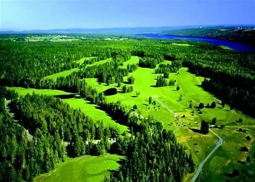 林业和草原应对气候变化取得新成效的商业启示