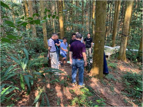 国家生态系统观测研究网络的商业价值与发展前景